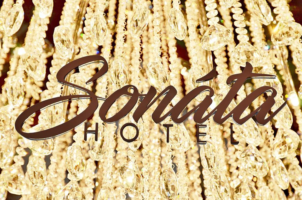 Hotel Sonata フラデツ・ナト・モラヴィツィー エクステリア 写真